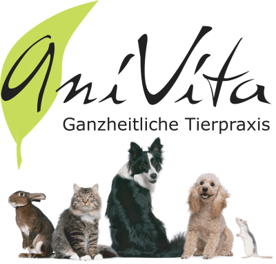 AniVita Ganzheitliche Tierpraxis AniVita Ganzheitliche Tierpraxis