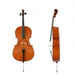 Violoncello