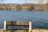 Rheinblick
