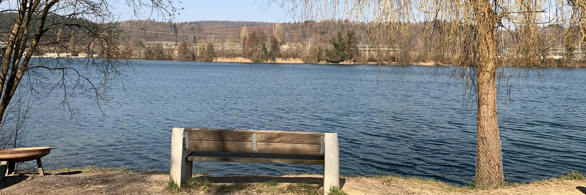 Rheinblick