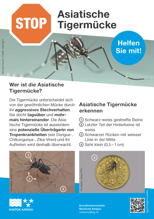 2025.05.07 Tigermückenflyer 1