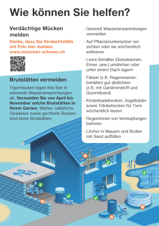 2025.05.07 Tigermücken Flyer 2